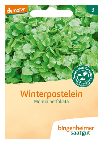 BIO Saatgut Winterpostelein