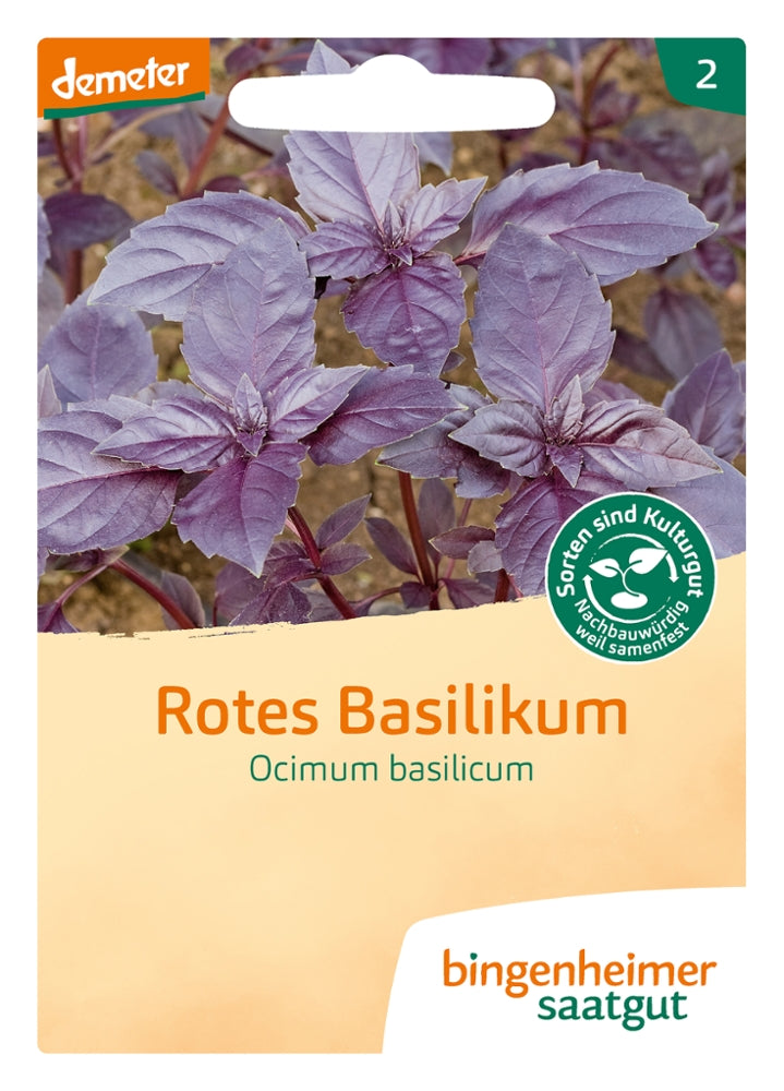 BIO Saatgut Basilikum rotblättrig