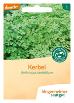 BIO Saatgut Kerbel Verena