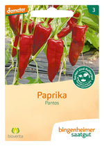 BIO Saatgut Paprika Pantos