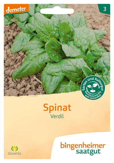 BIO Saatgut Spinat Verdil Winterriesen, bio-dyn Züchtung