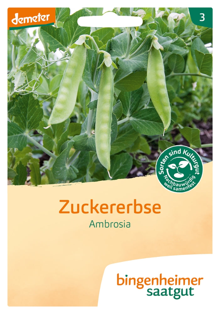 BIO Saatgut Zuckererbse Ambrosia