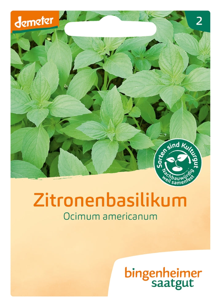 BIO Saatgut Zitronenbasilikum