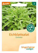 BIO Saatgut Pflücksalat Cerbiatta