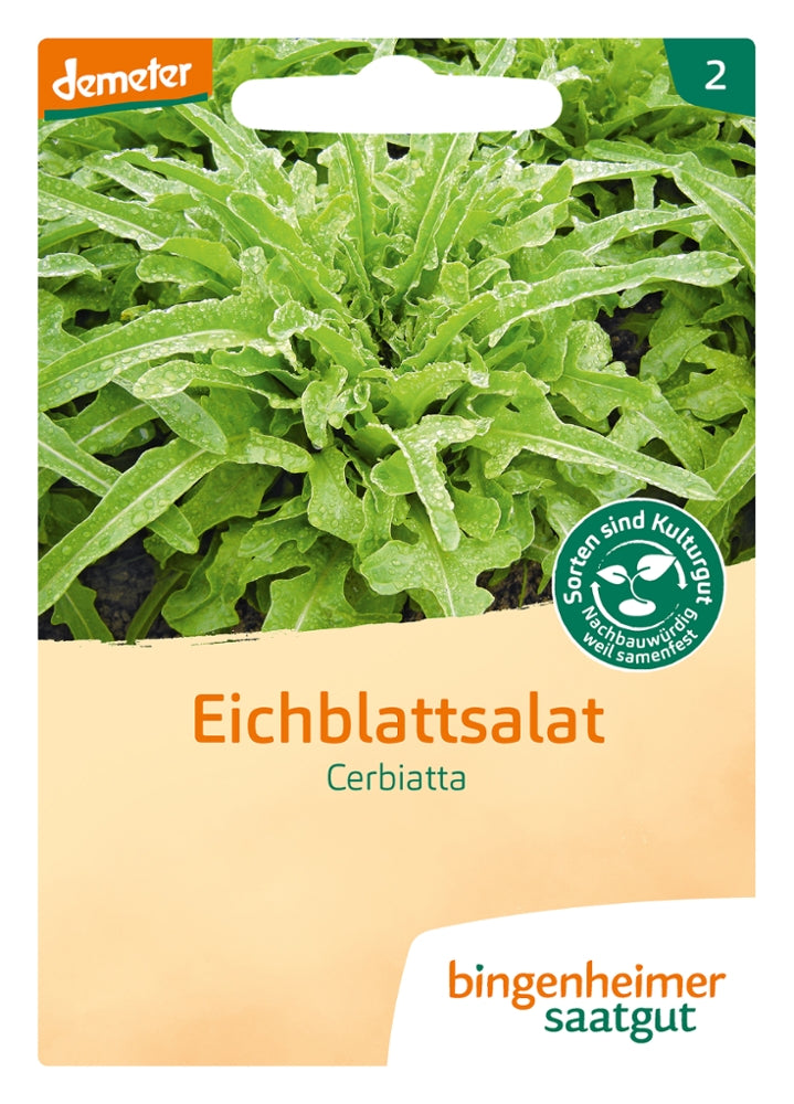 BIO Saatgut Pflücksalat Cerbiatta