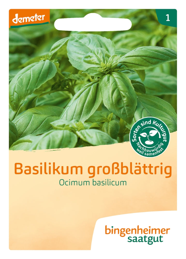 BIO Saatgut Basilikum großblättrig – Biogartenladen