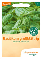 BIO Saatgut Basilikum großblättrig