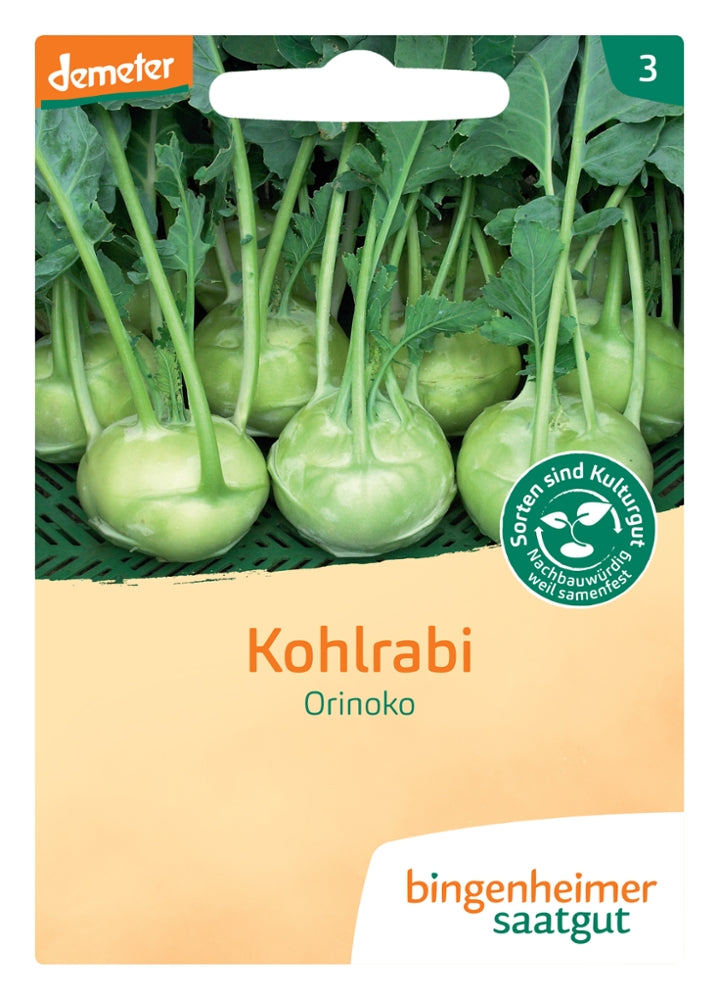 BIO Saatgut Kohlrabi Orinoko, weiß