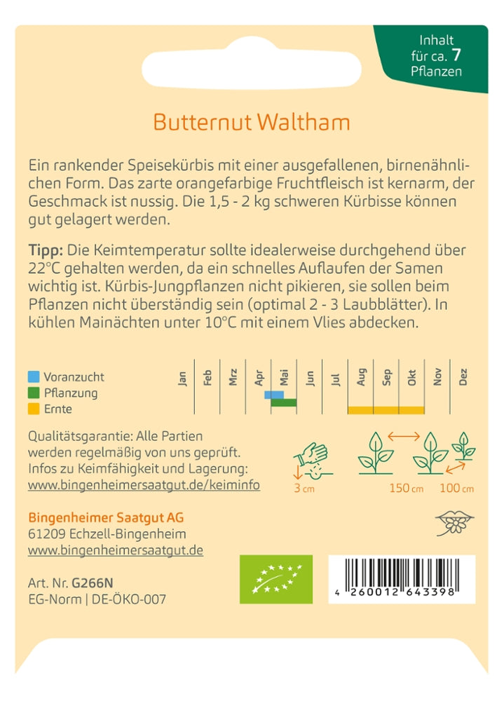 BIO Saatgut Kürbis Butternut Waltham Aussaatanleitung