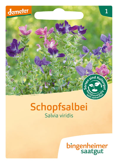 BIO Saatgut Schopfsalbei