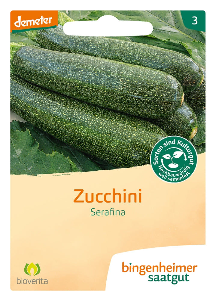 BIO Saatgut Zucchini Serafina – Biogartenladen