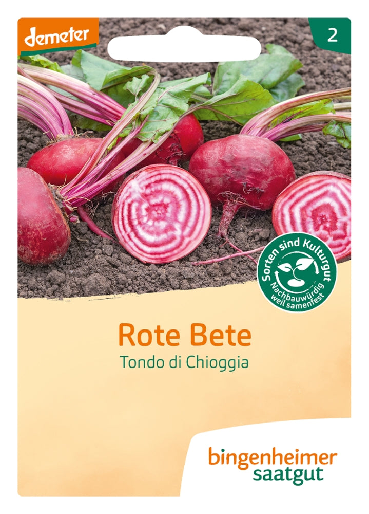 BIO Saatgut Rote Bete Tondo di Chioggia