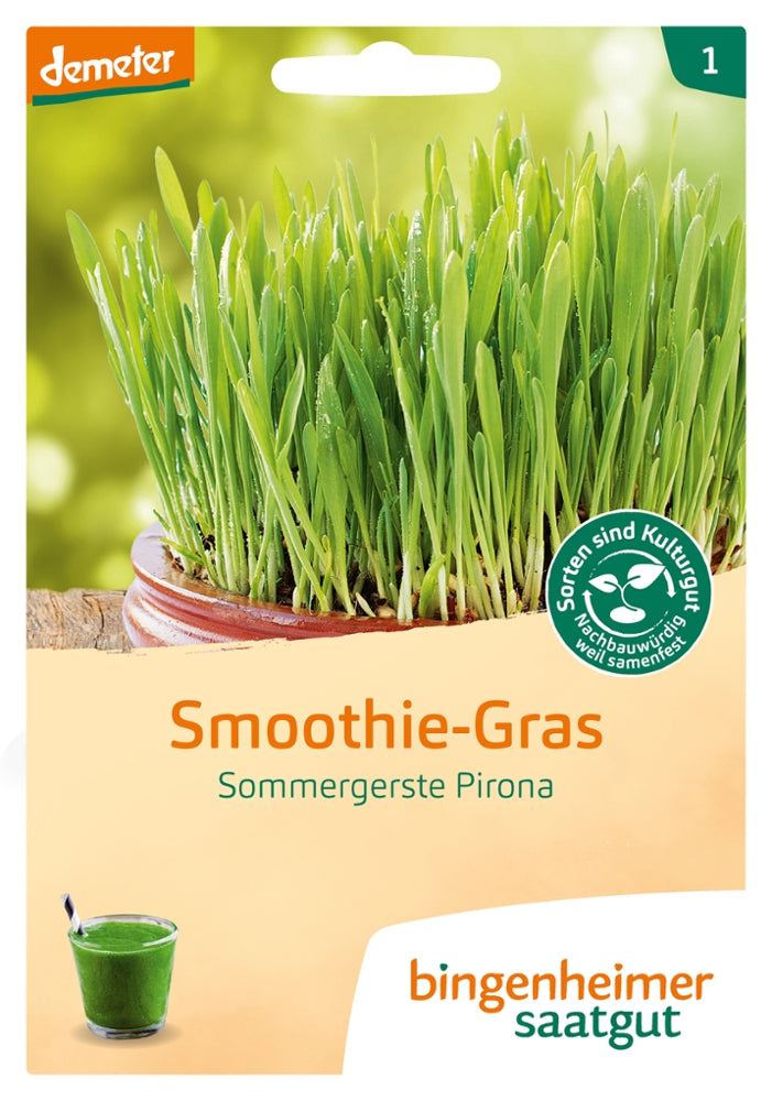 BIO Saatgut Smoothie-Gras Sommergerste Pirona – Biogartenladen