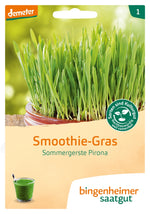 BIO Saatgut Smoothie-Gras Sommergerste Pirona