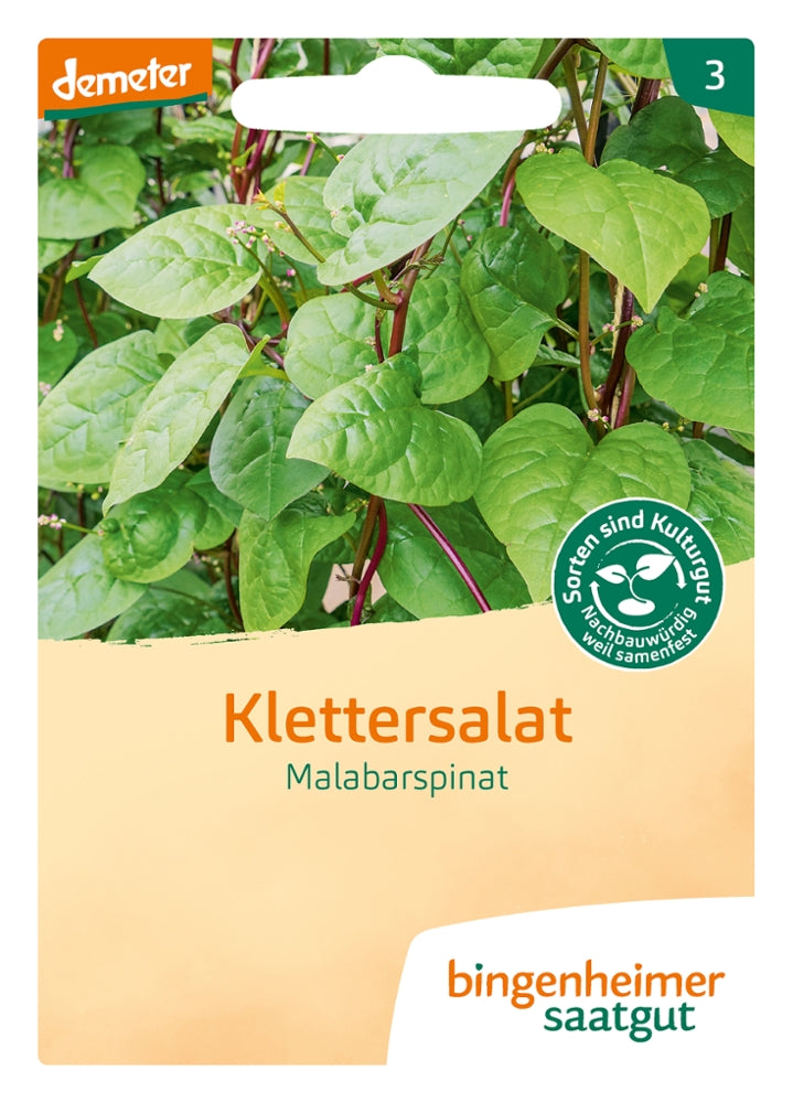 BIO Saatgut Klettersalat Malabarspinat