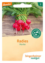 BIO Saatgut Radies Marike