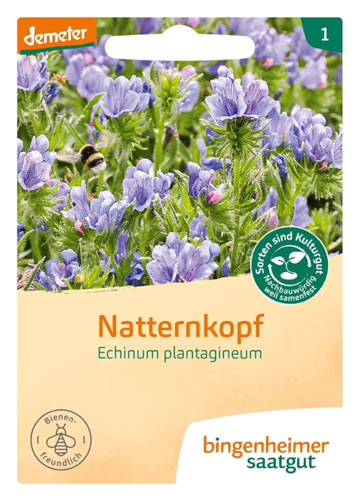 BIO Saatgut Natternkopf (Echium plantagineum) – Wildpflanze des Jahres 2026 mit blauen und roten Blüten, insektenfreundlich und trockenheitsverträglich
