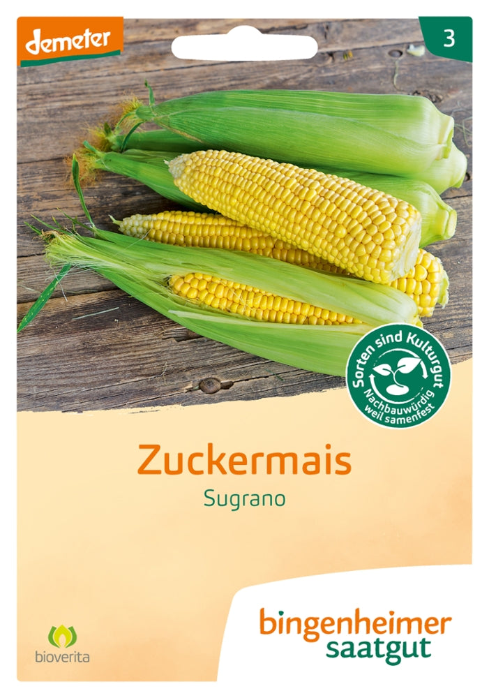 BIO Saatgut Zuckermais Sugrano – Biogartenladen