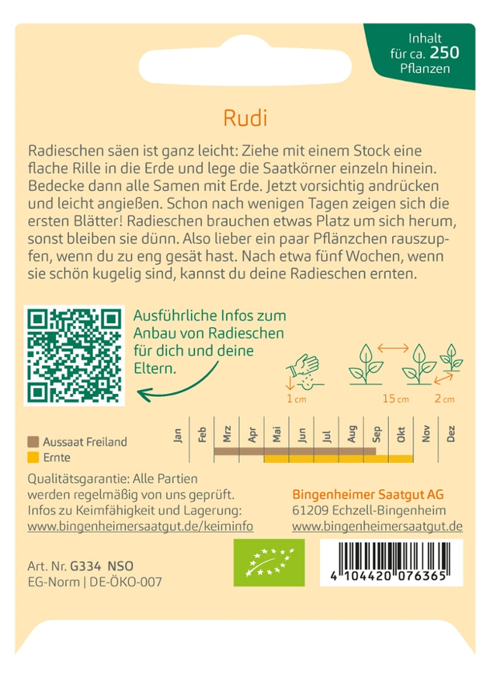  Radies Rudi, Aussaatanleitung