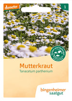 BIO Saatgut Mutterkraut