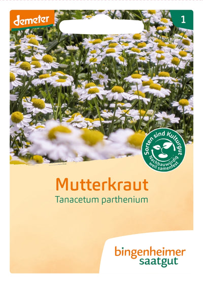 BIO Saatgut Mutterkraut