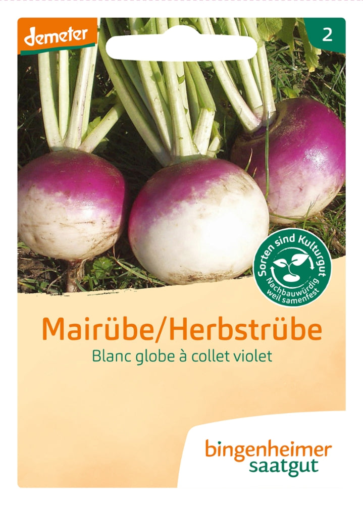 Mairübe Blanc globe a collet violet