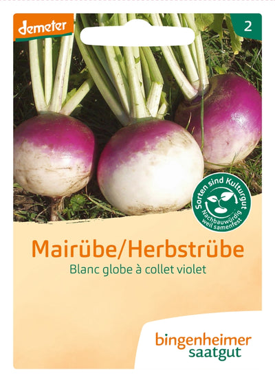 BIO Saatgut Mairübe Blanc globe a collet violet