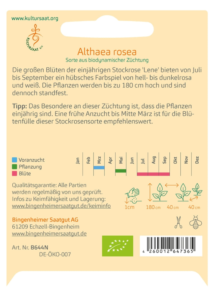 BIO Saatgut Stockrose Lene Aussaatanleitung