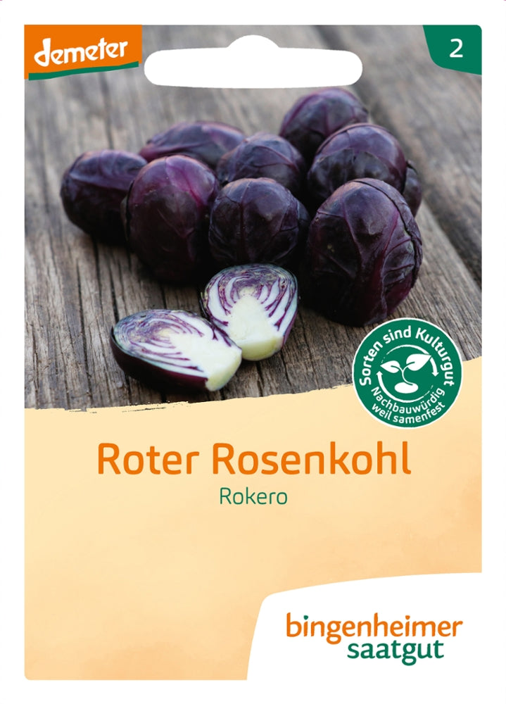 BIO Saatgut Roter Rosenkohl Rokero – Biogartenladen