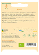 Roter Rosenkohl Rokero Kulturanleitung