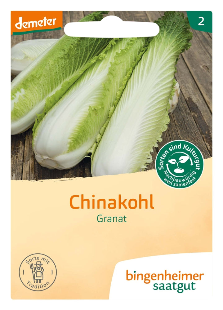 Chinakohl Granat mitt hohen, schlanken, geschlossenen Köpfe