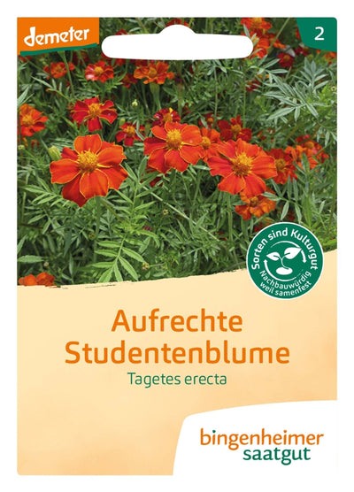 BIO Saatgut Hohe Polsterstudentenblume