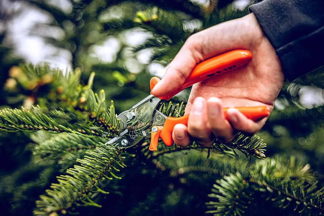 LÖWE Amboss-Schere Nr. 5.127 Anwendung