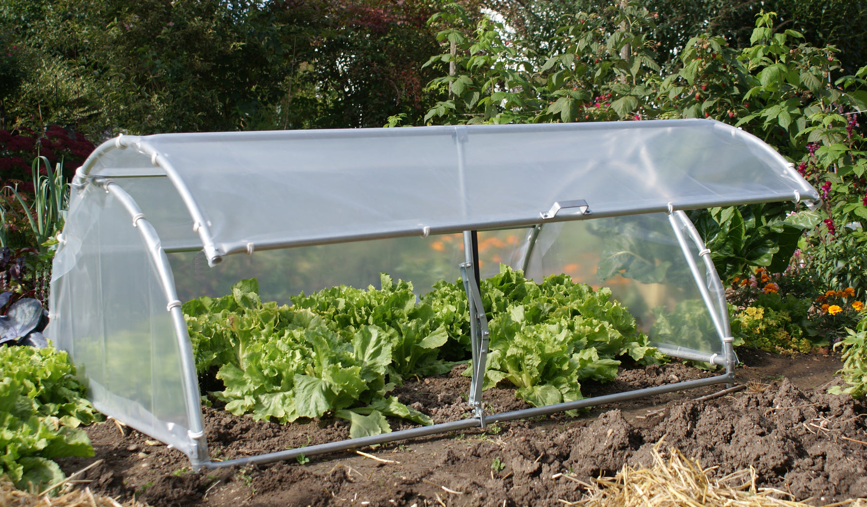 Frühbeet-Tunnel 170 x 100 x 60 cm