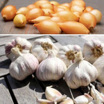 BIO Herbstpflanz-Set mit Pflanzknoblauch Sprint und Wintersteckzwiebeln Shakespeare für die Pflanzung im Herbst.