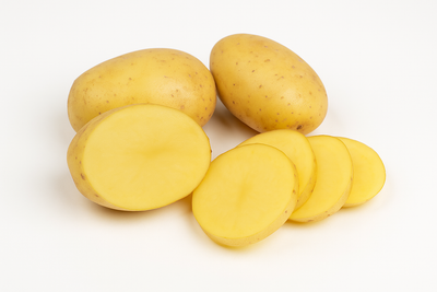 BIO Pflanzkartoffeln Belana 2,5 kg