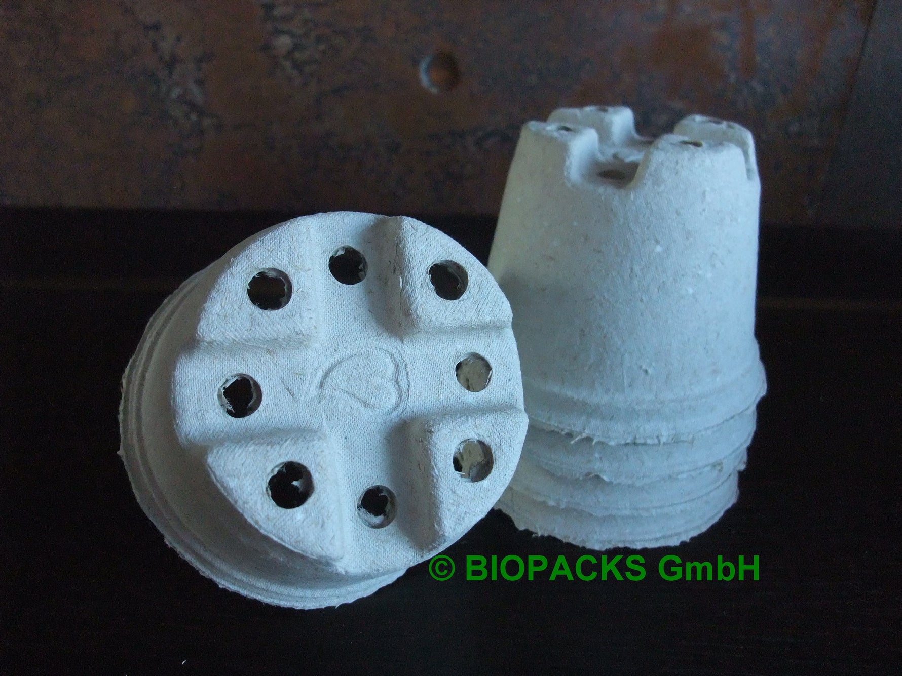 Biopacks Papierpflanztopf d12