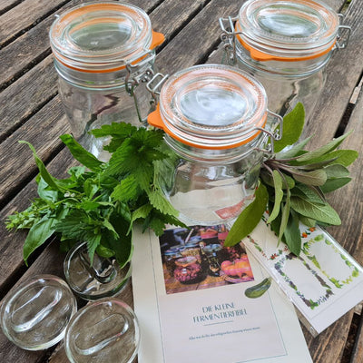 Fermentier-Set „Wintervorrat“