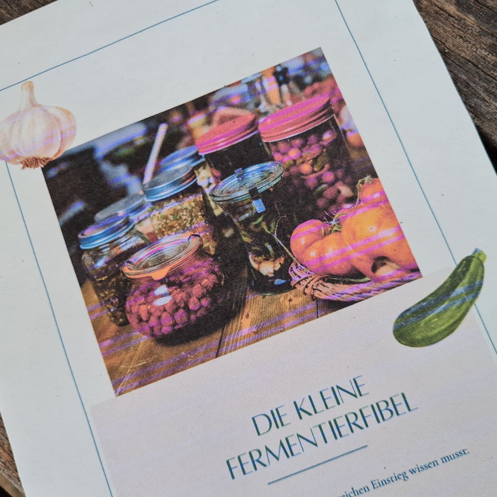 Kleine Fermentier-Fibel