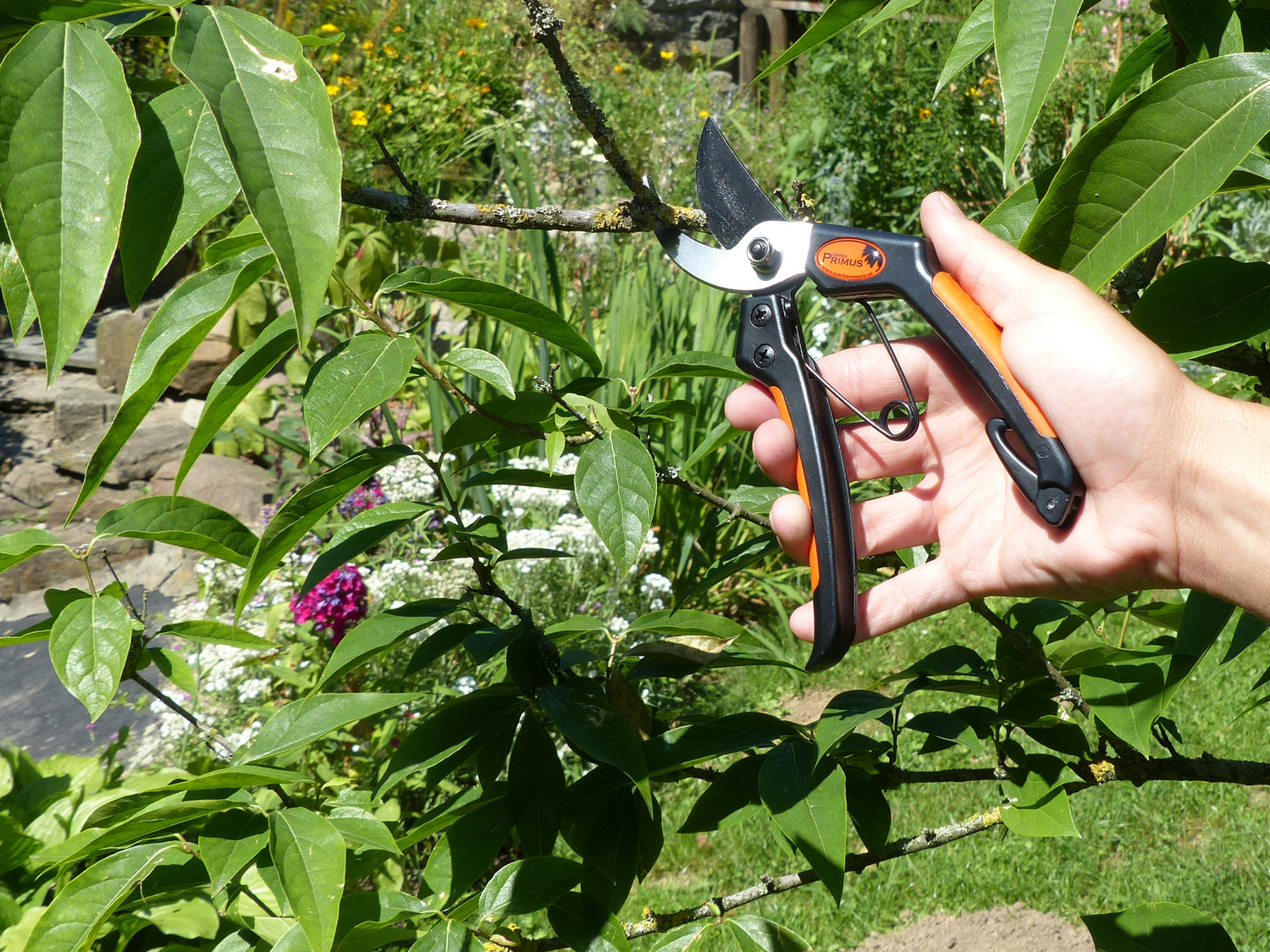 Primus Gartenschere Herrenschere Anwendung