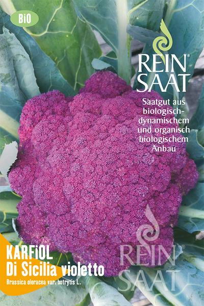 BIO Saatgut violetter Blumenkohl Di Sicilia violetto
