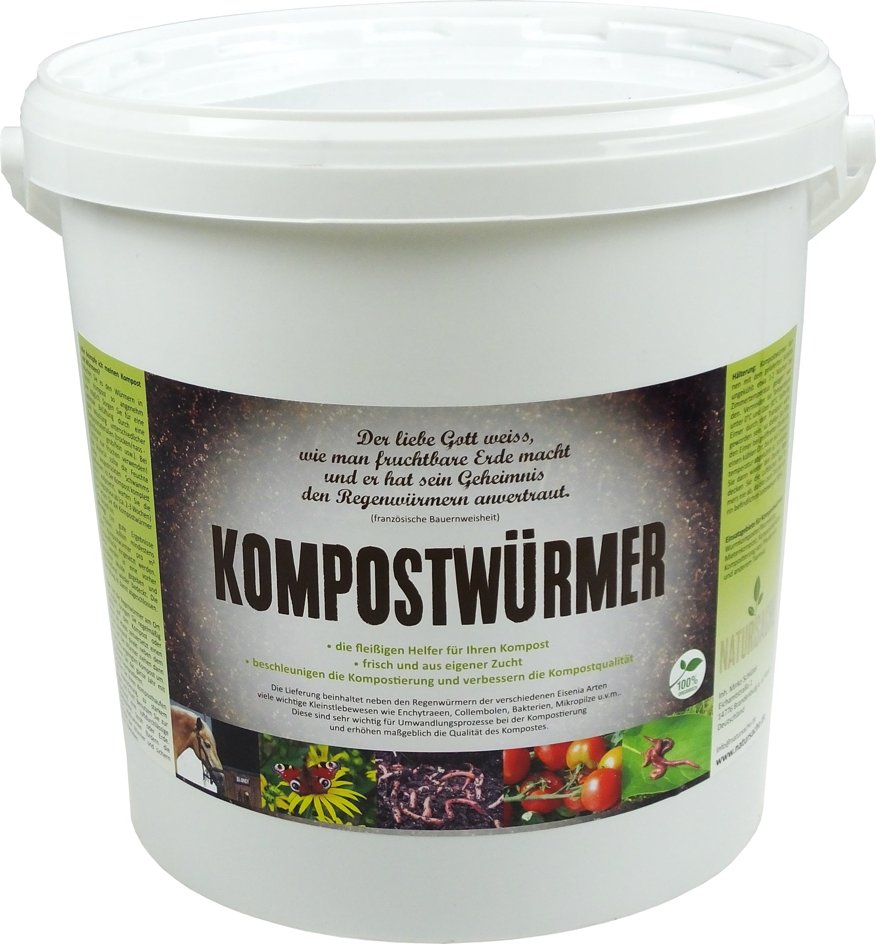 Kompostwürmer im Eimer für Komposthaufen, Wurmkiste und Wurmkomposter zur natürlichen Herstellung von Wurmhumus