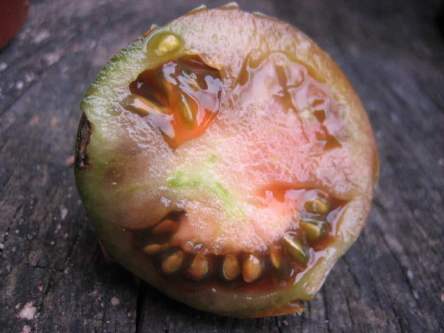 Salattomate Black Prince Frucht