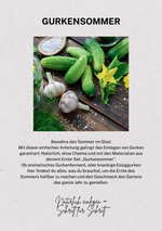 Anleitung Gurkenferment und Essiggurken