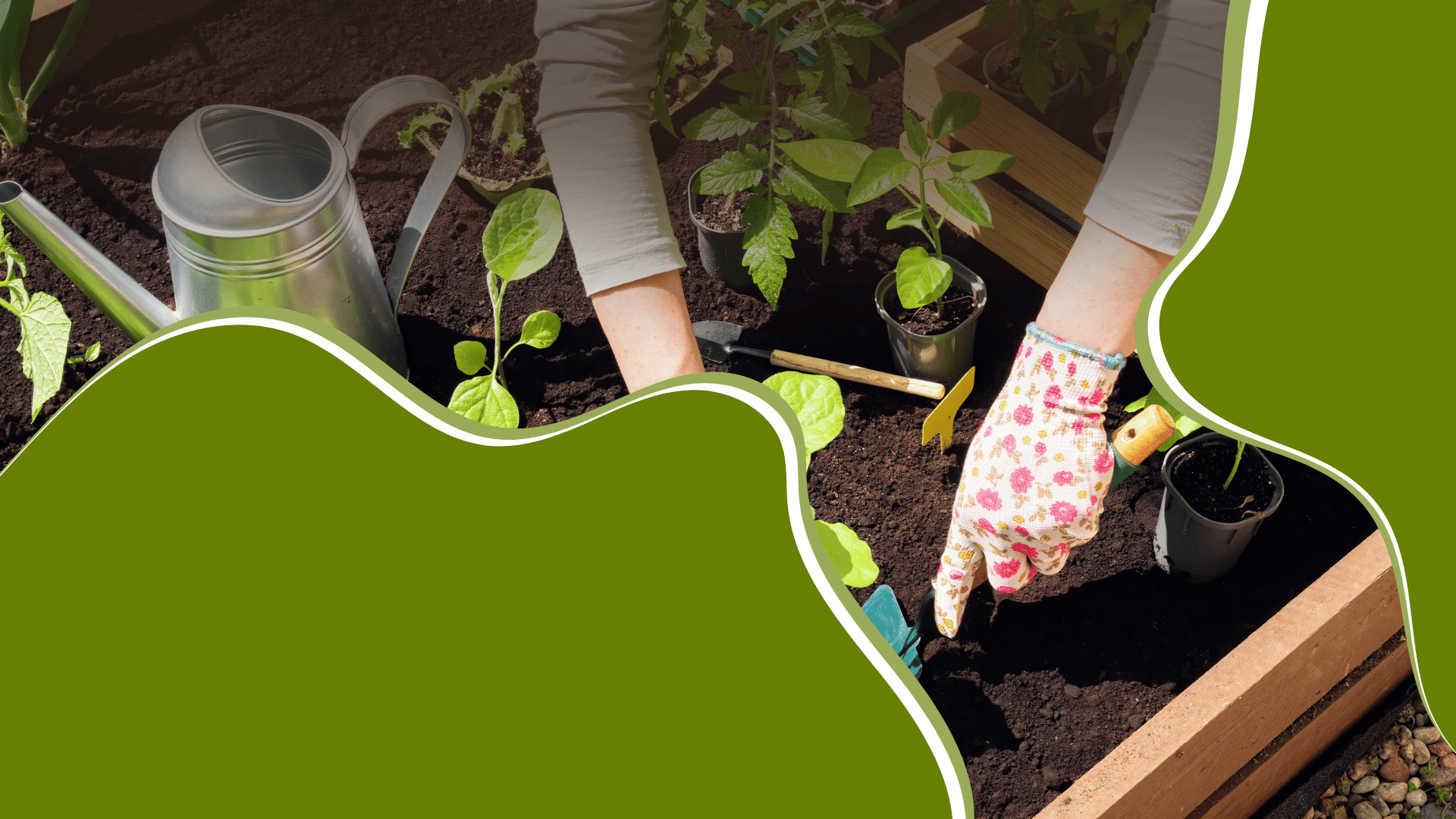 Biogartenladen Startseite