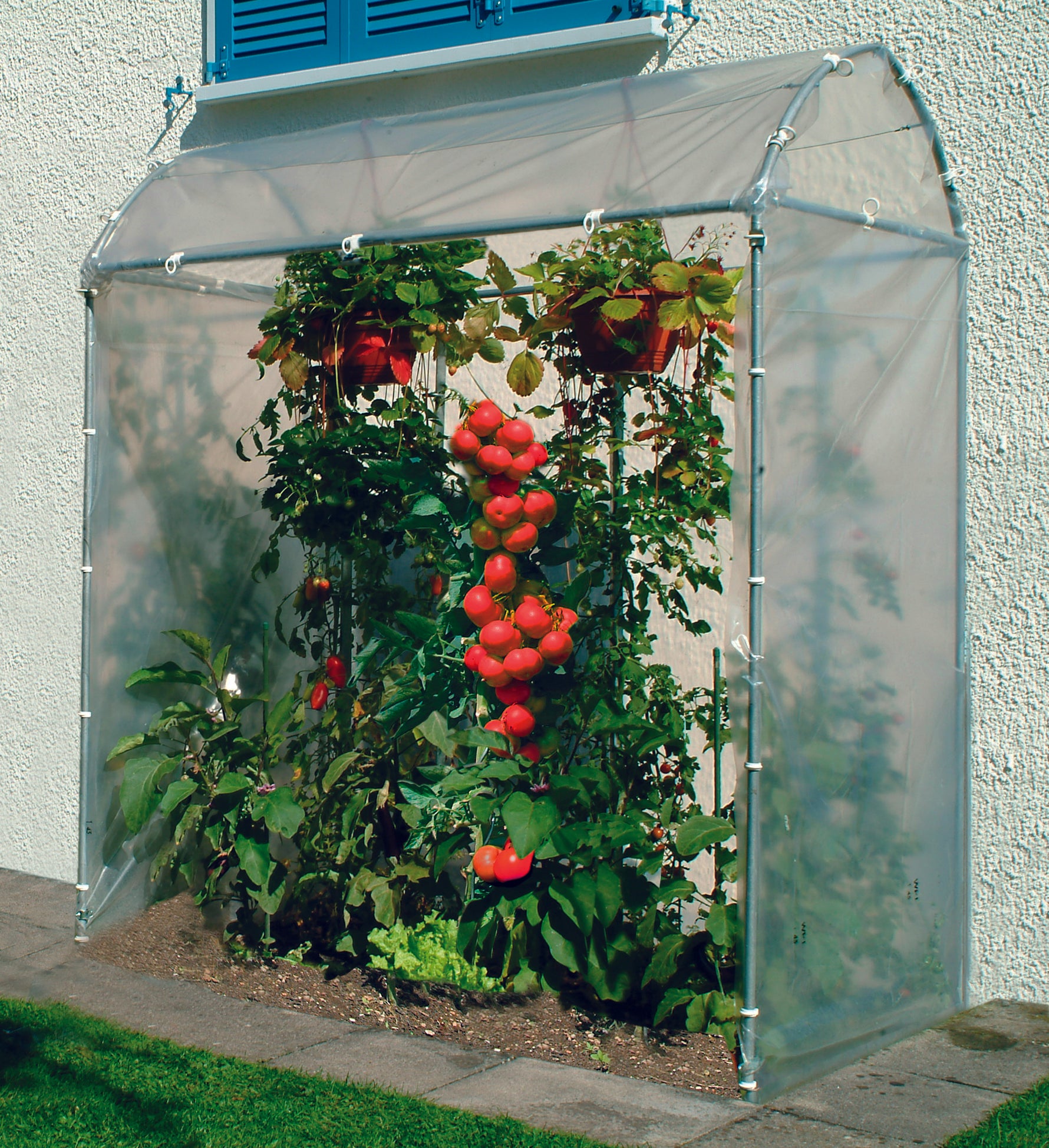 Tomatenhaus 175 x 100 x 210 cm