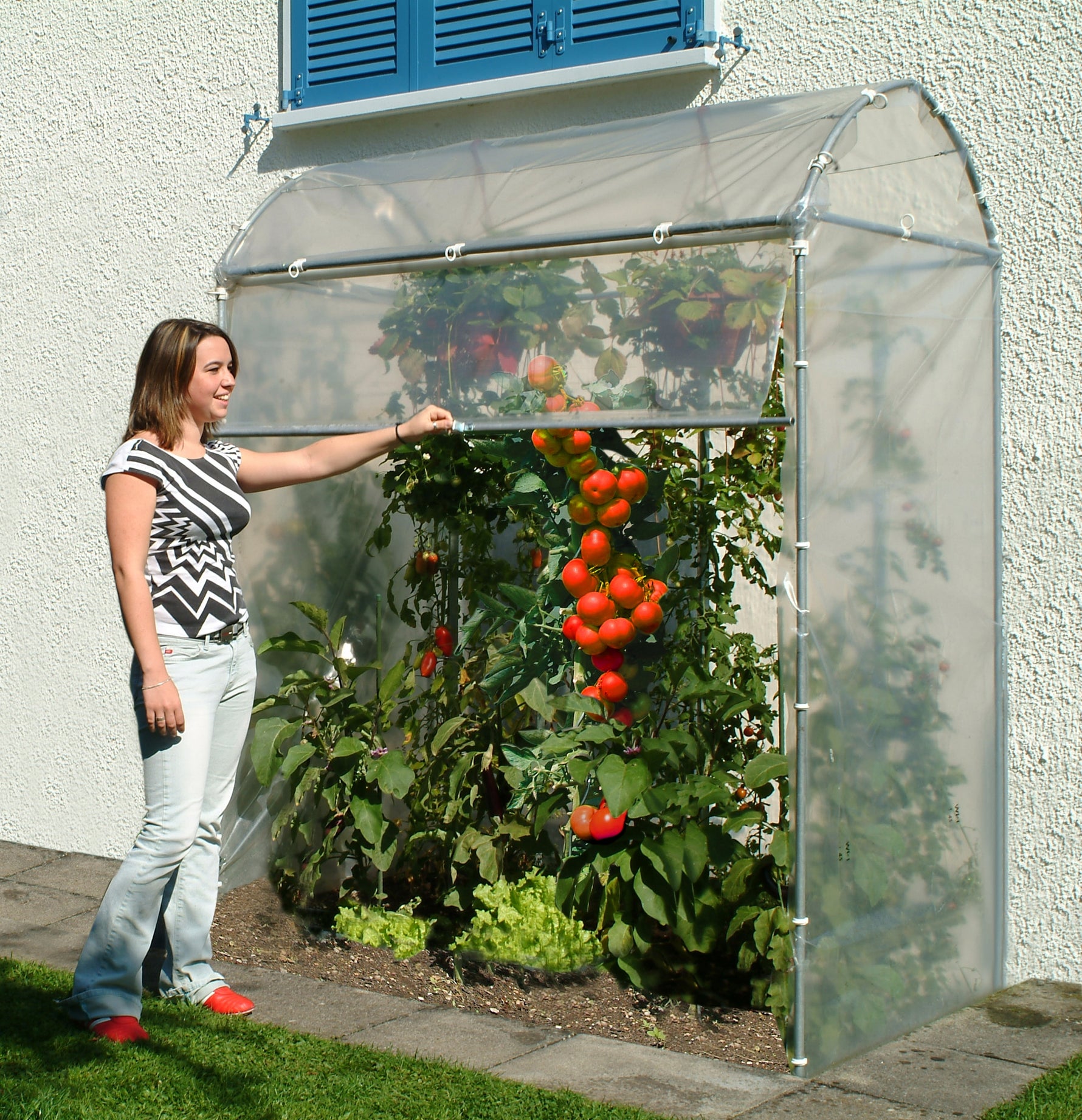 Tomatenhaus 175 x 100 x 210 cm mit Rollo