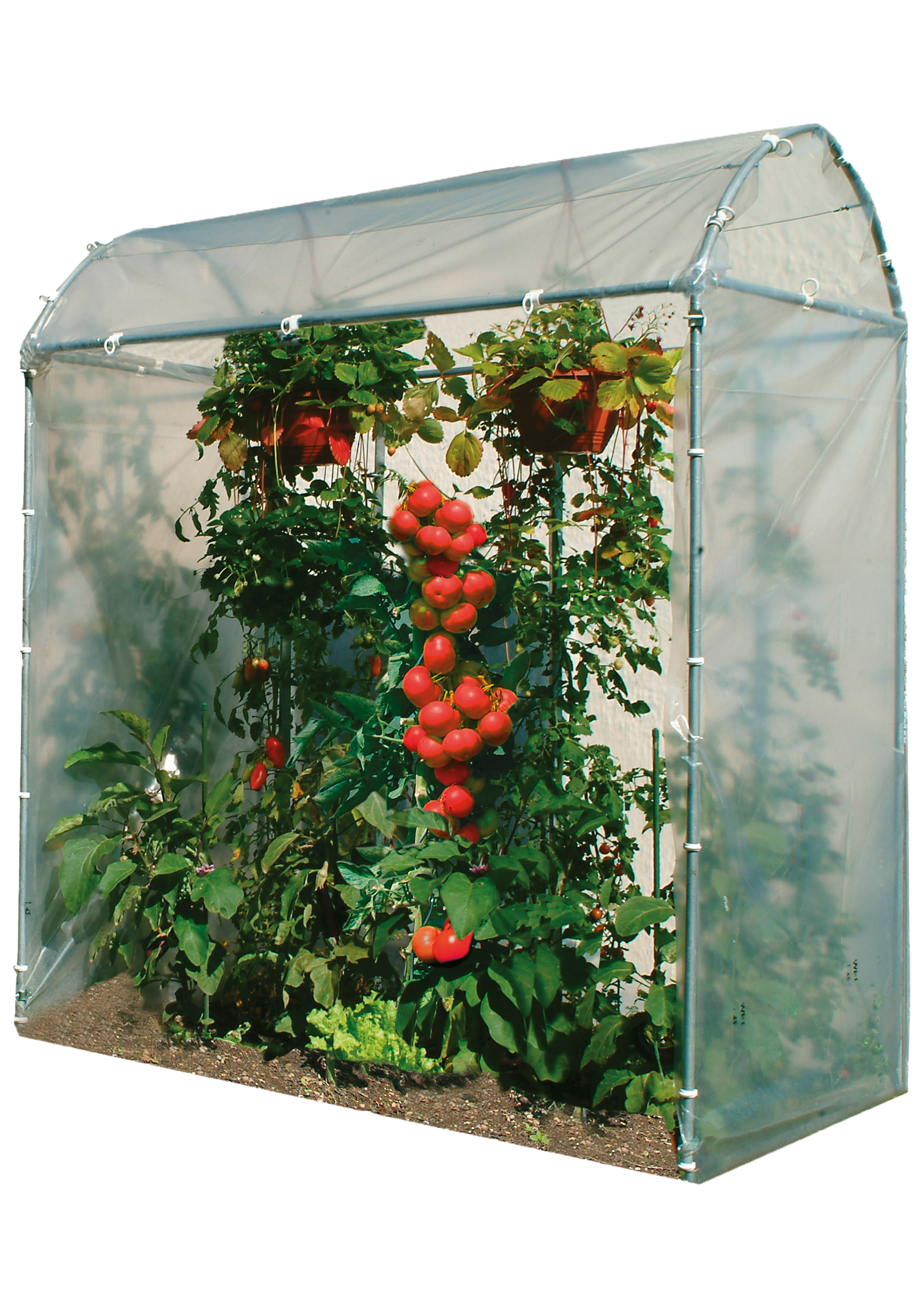 Tomatenhaus 175 x 100 x 210 cm, Stahlrohr verzinkt