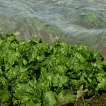 Abdeckgaze aus biologischer Baumwolle