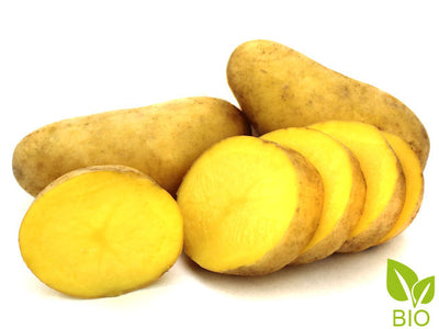 BIO Pflanzkartoffeln Annabelle 2,5 kg ABVERKAUF